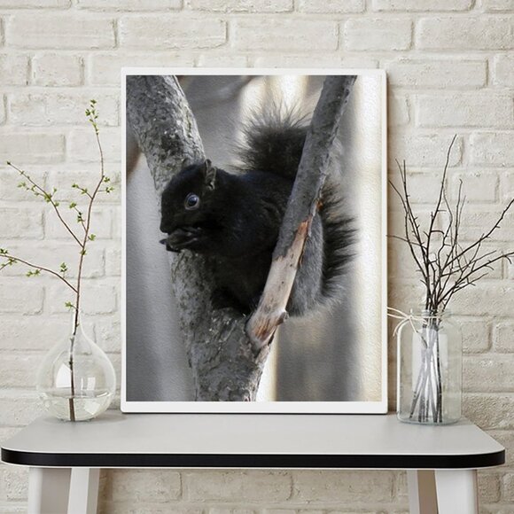 Black Squirrel Eating in‎ a Tree Oil Painting Art Photography Print - Picture 3 of 4
